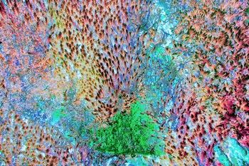 N 213B